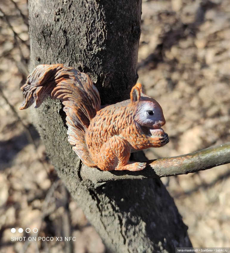 Машуня, лес, белочки, весна, хорошее настроение (фото 9)
