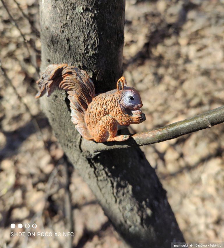 Машуня, лес, белочки, весна, хорошее настроение (фото 10)