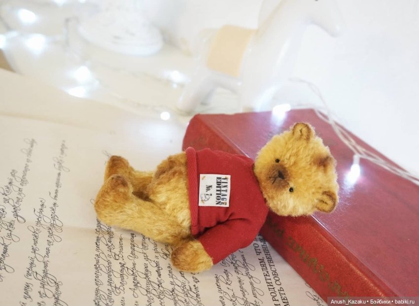 Мишка тедди — Авторские мишки Тедди и друзья: фото