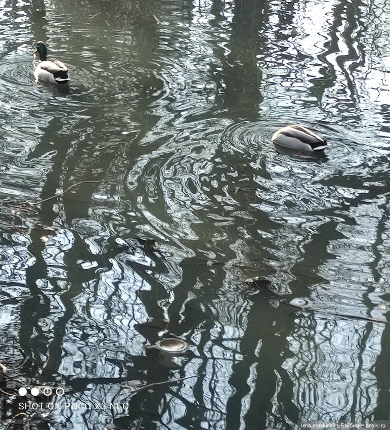 Прогулка в парке Анюты, Катюши и их друзей