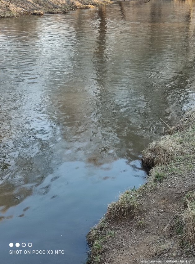 Прогулка в парке Анюты, Катюши и их друзей