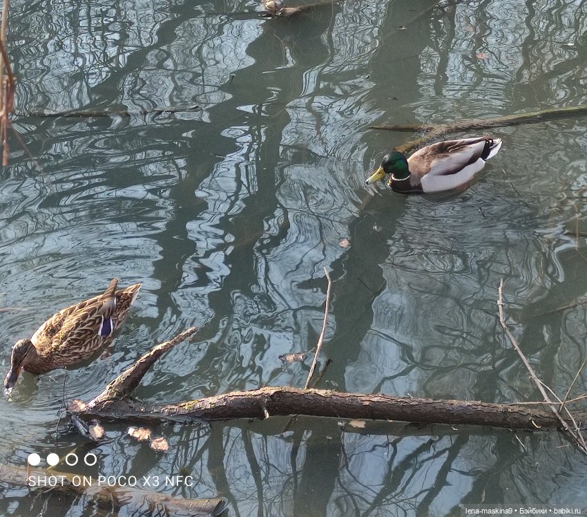 Прогулка в парке Анюты, Катюши и их друзей