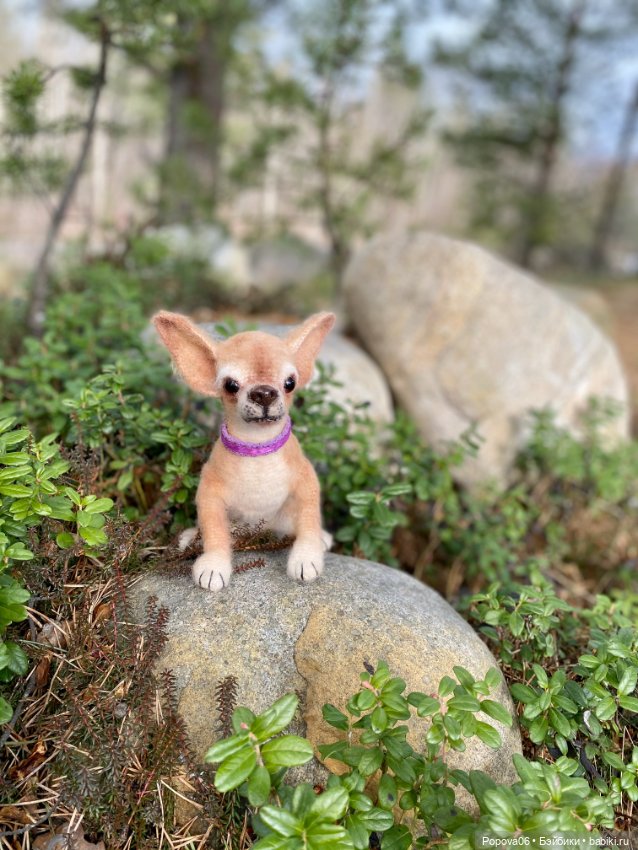 Собачки, которые я вязала