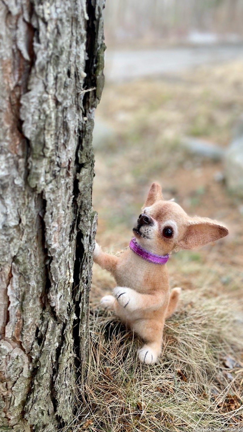 Собачки, которые я вязала