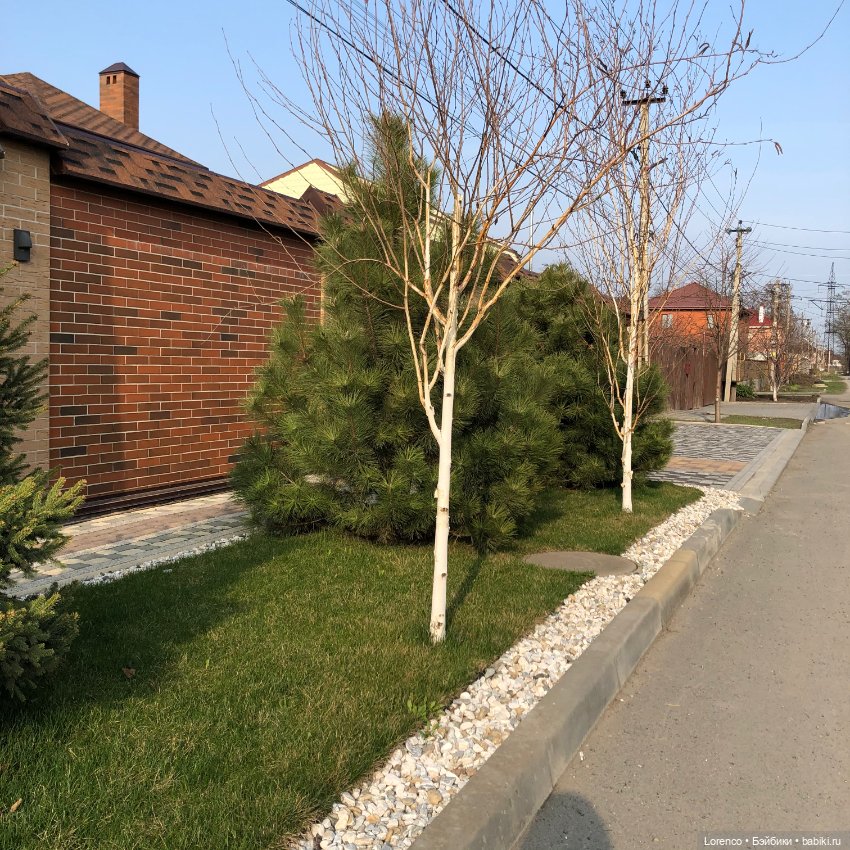 Весеннее пробуждение — Куклы Berjuan (Бержуан): Биггерсы (Biggers)