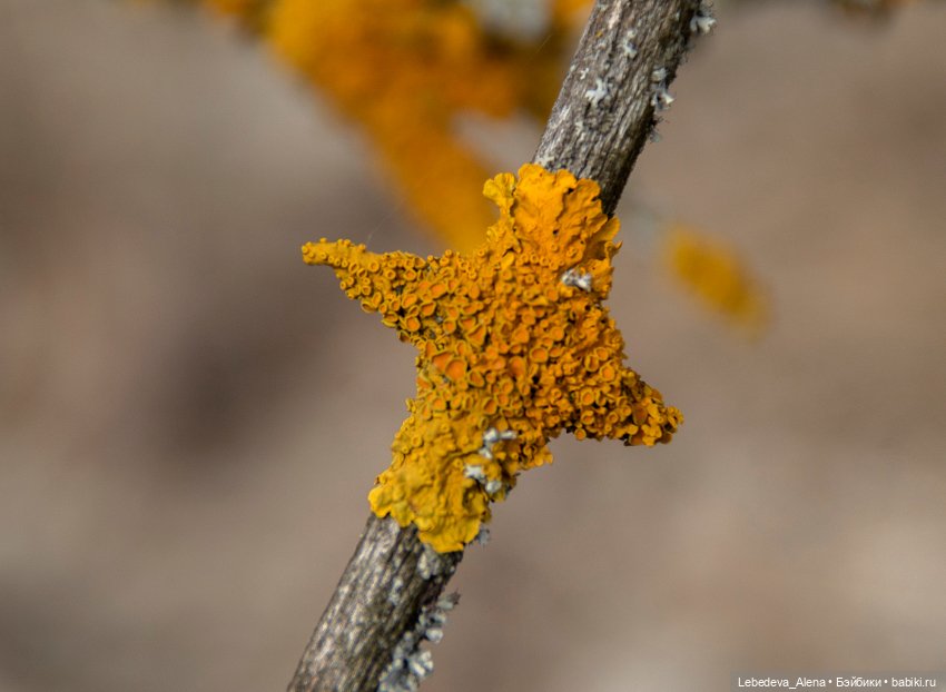 Весна пришла — Болталка и разговоры обо всем: жизнь (фото 3)