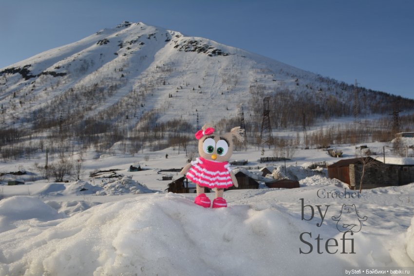 Совушки — Вязаные игрушки и амигуруми: крючком (фото 8)