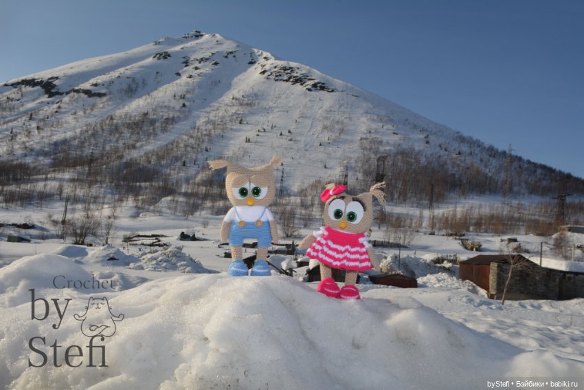 Совушки — Вязаные игрушки и амигуруми: крючком (фото 9)