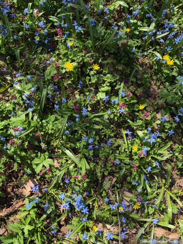 Души моей УлиткО — Интересные игрушки и фигурки (разное): редкие (фото 6)