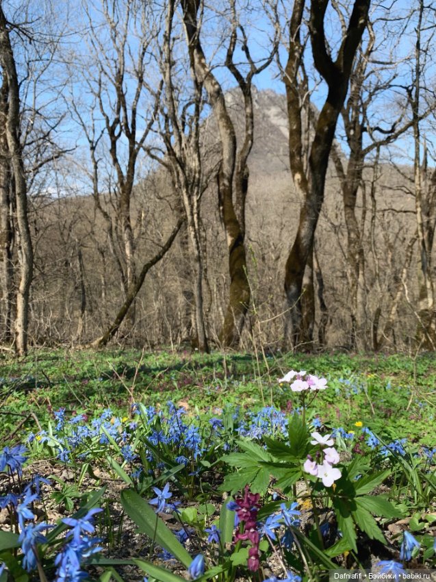 Души моей УлиткО — Интересные игрушки и фигурки (разное): редкие (фото 7)