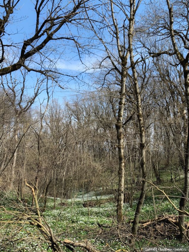 Души моей УлиткО — Интересные игрушки и фигурки (разное): редкие (фото 3)