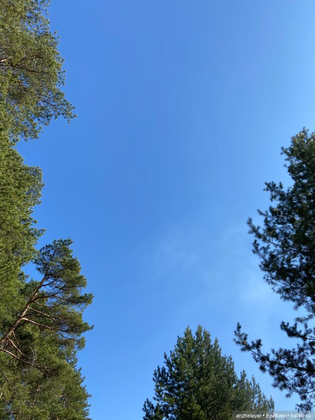 Весеннее настроение — Куклы Holala (Холала) от Jenny Fairytown: Pipita (фото 3)