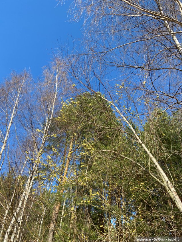 Весеннее настроение — Куклы Holala (Холала) от Jenny Fairytown: Pipita (фото 7)