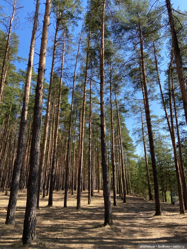 Весеннее настроение — Куклы Holala (Холала) от Jenny Fairytown: Pipita (фото 2)