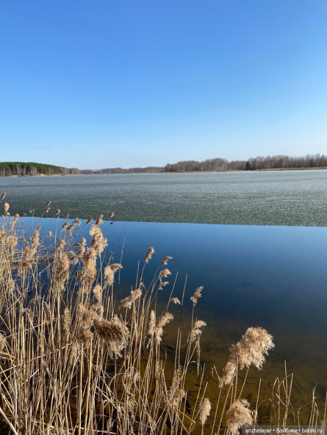 Весеннее настроение — Куклы Holala (Холала) от Jenny Fairytown: Pipita (фото 4)
