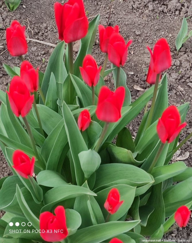 Матрёшка — Игрушки СССР и советского детства: резиновые (фото 6)