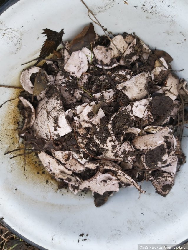 Дом с сюрпризом, часть 2. Осколки розового счастья