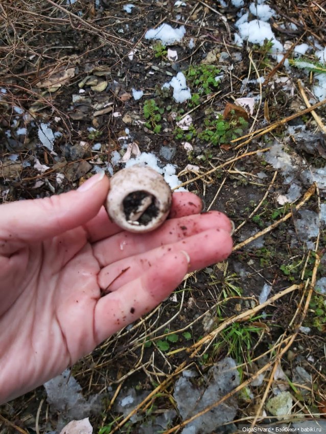 Дом с сюрпризом, часть 2. Осколки розового счастья (фото 4)