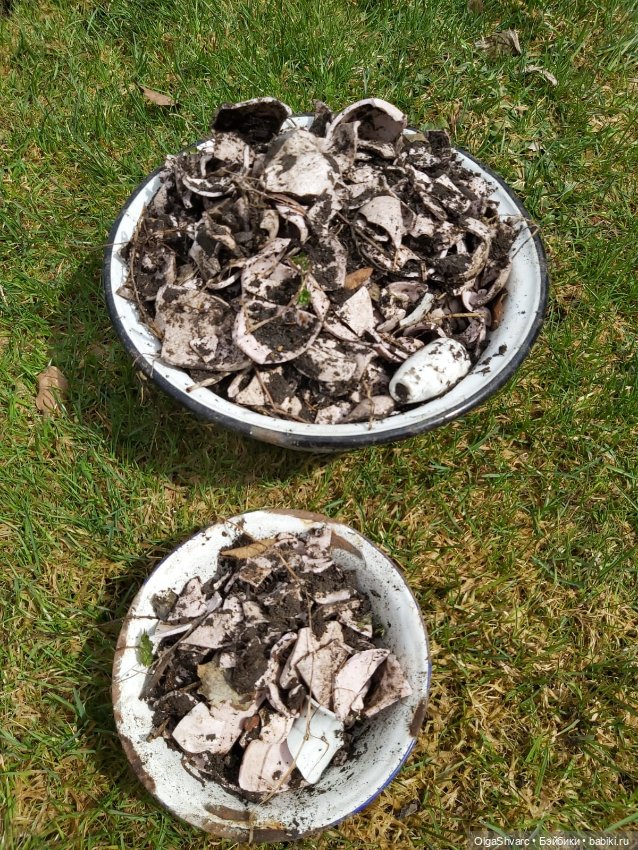 Дом с сюрпризом, часть 2. Осколки розового счастья (фото 9)