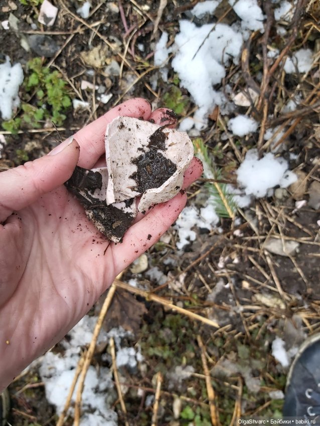 Дом с сюрпризом, часть 2. Осколки розового счастья