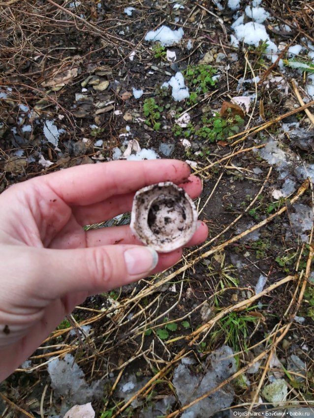 Дом с сюрпризом, часть 2. Осколки розового счастья (фото 2)