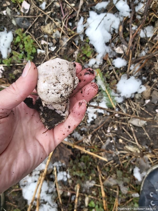 Дом с сюрпризом, часть 2. Осколки розового счастья