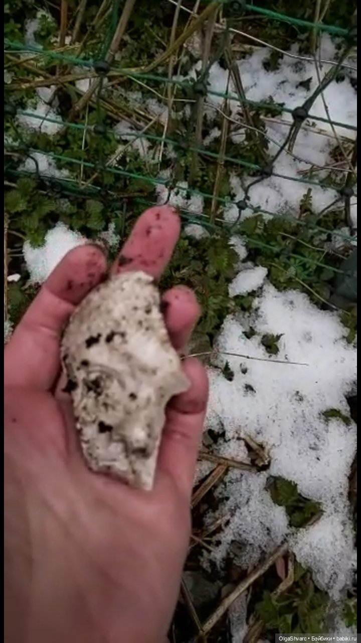 Дом с сюрпризом, часть 2. Осколки розового счастья