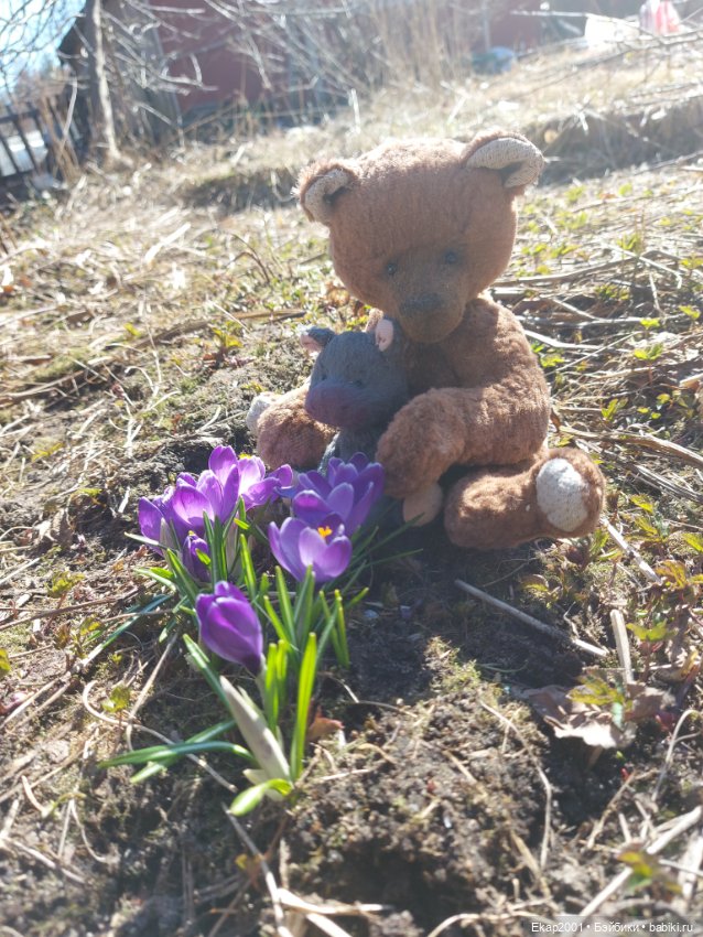 Крокусы — Авторские мишки Тедди и друзья: фото (фото 6)