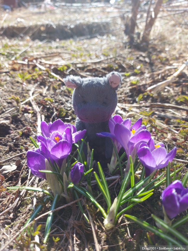 Крокусы — Авторские мишки Тедди и друзья: фото (фото 7)