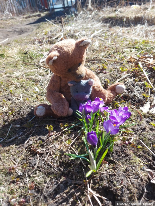 Крокусы — Авторские мишки Тедди и друзья: фото (фото 5)