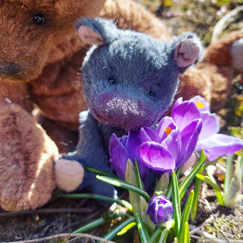 Крокусы — Авторские мишки Тедди и друзья: фото