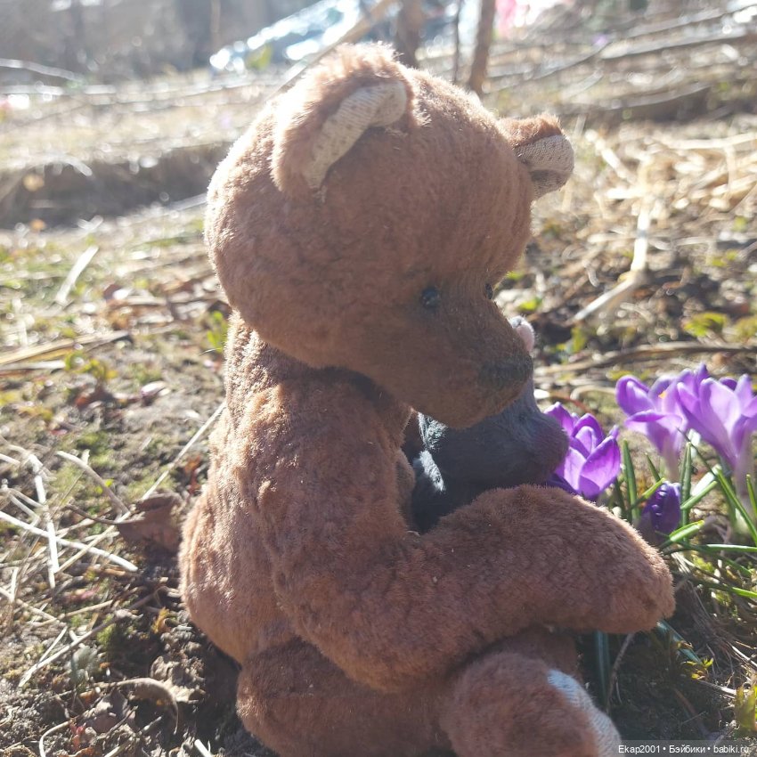 Крокусы — Авторские мишки Тедди и друзья: фото (фото 2)