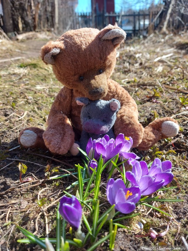 Крокусы — Авторские мишки Тедди и друзья: фото (фото 4)