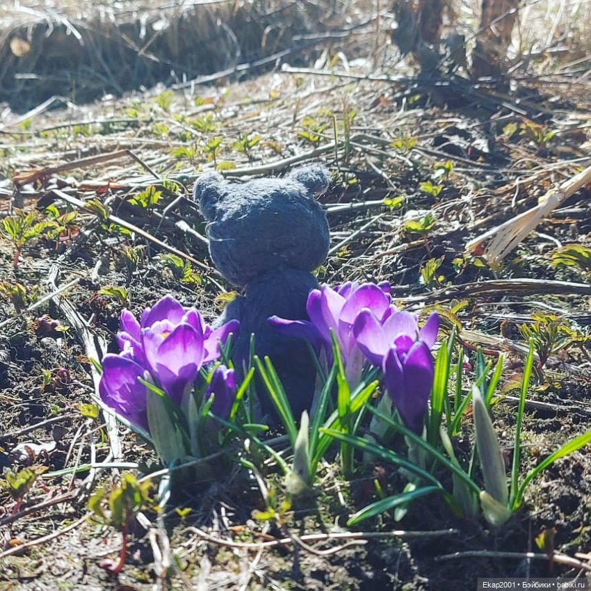 Крокусы — Авторские мишки Тедди и друзья: фото (фото 3)