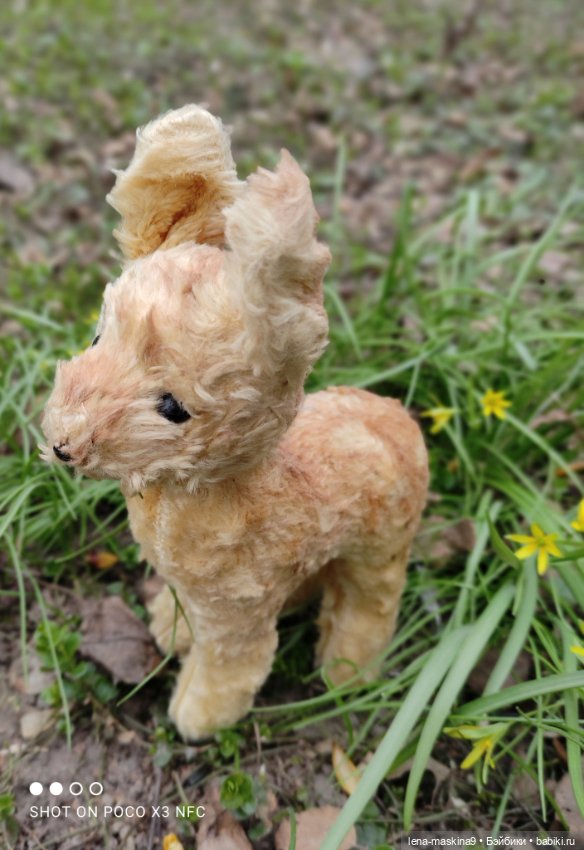 Оленёнок и всякая живность (фото 6)