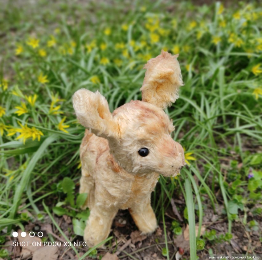 Оленёнок и всякая живность