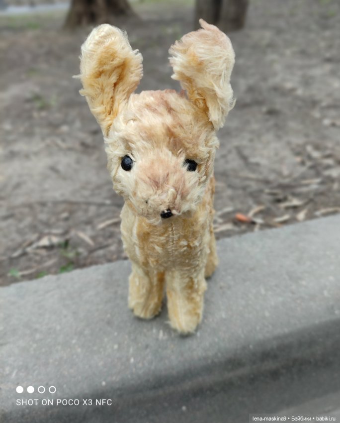 Оленёнок и всякая живность