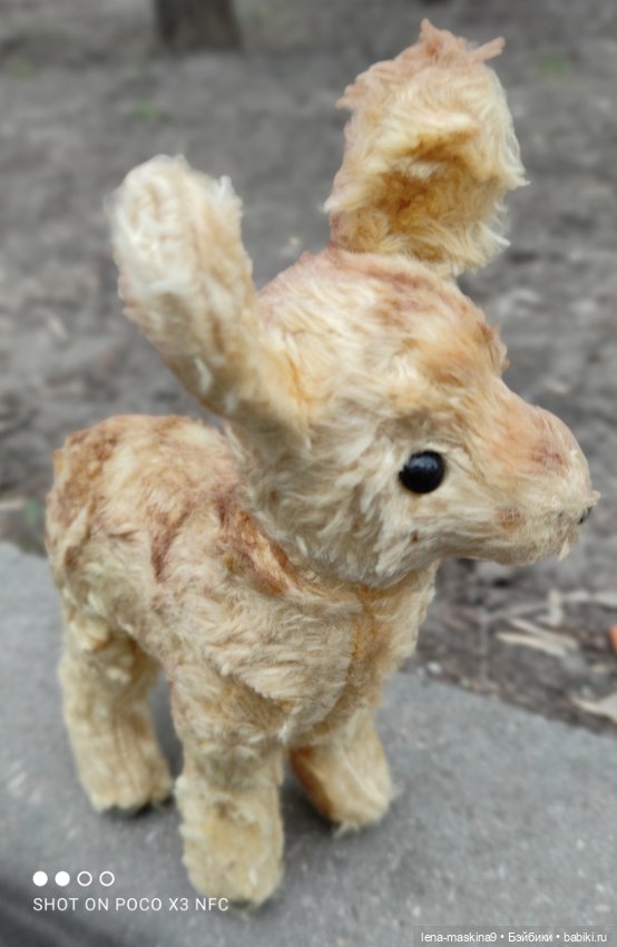 Оленёнок и всякая живность