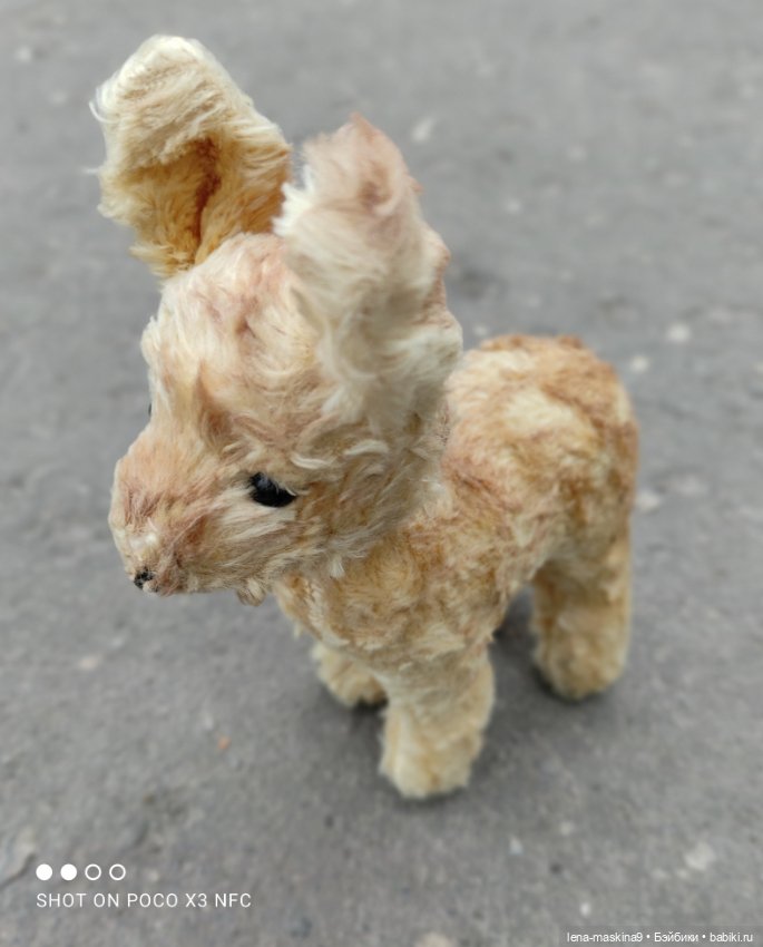 Оленёнок и всякая живность