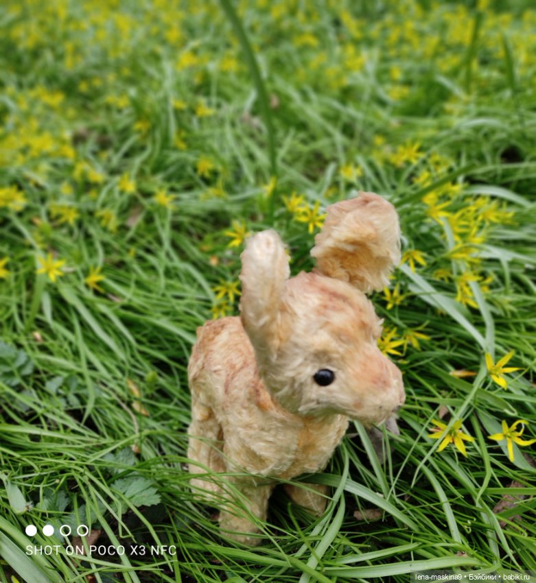 Оленёнок и всякая живность