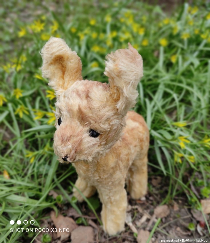 Оленёнок и всякая живность (фото 5)