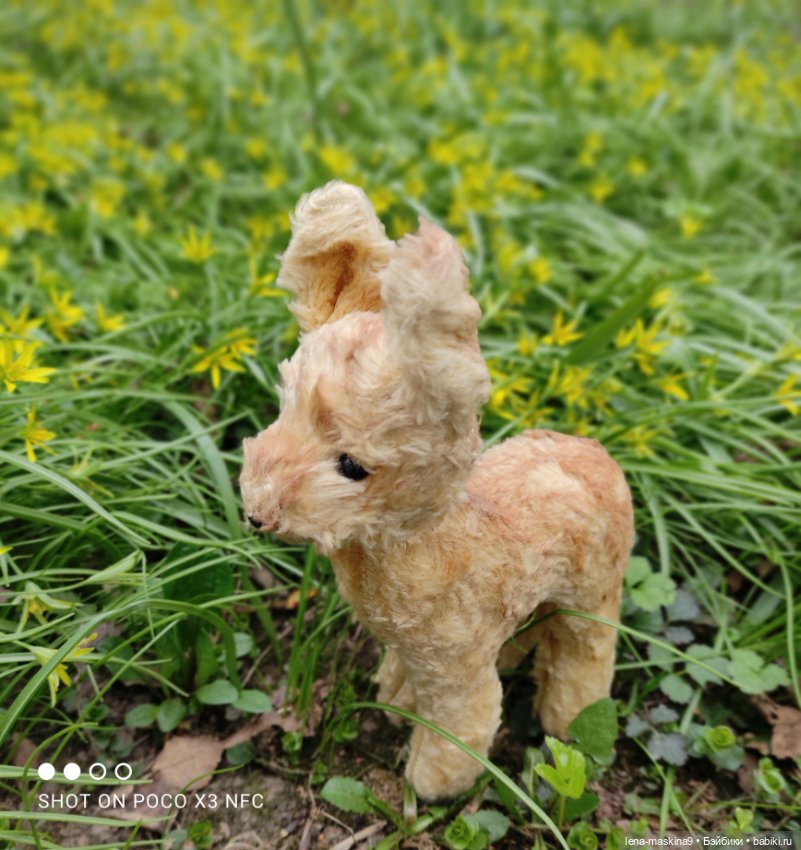 Оленёнок и всякая живность