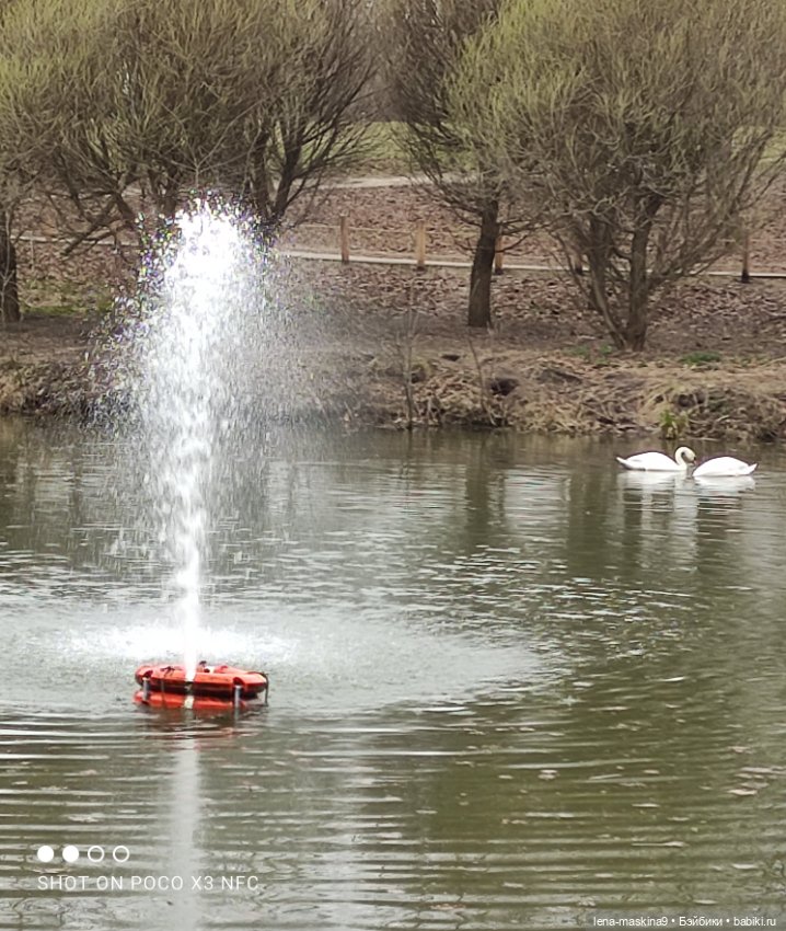 Оленёнок и всякая живность (фото 8)