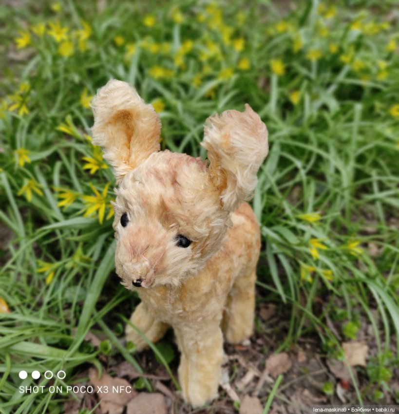 Оленёнок и всякая живность (фото 2)