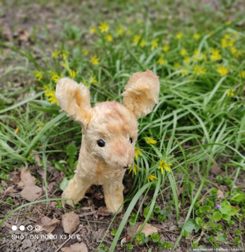 Оленёнок и всякая живность (фото 4)