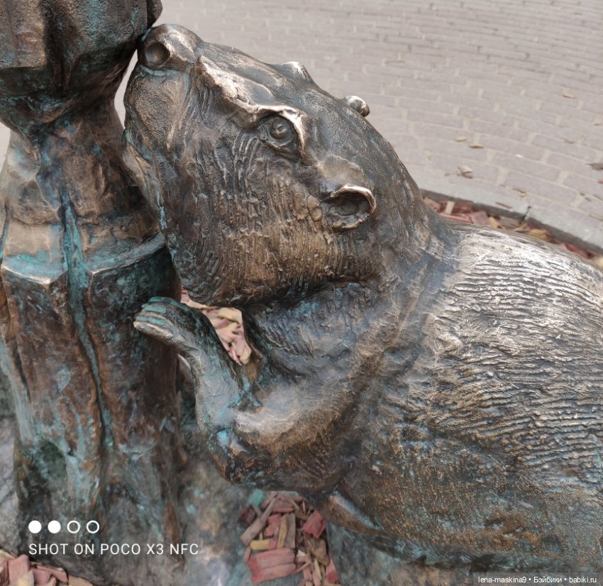 Оленёнок и всякая живность