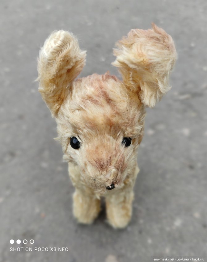 Оленёнок и всякая живность