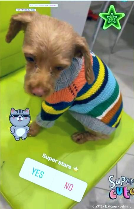 Одеть друга — Другие хобби и увлечения: сад