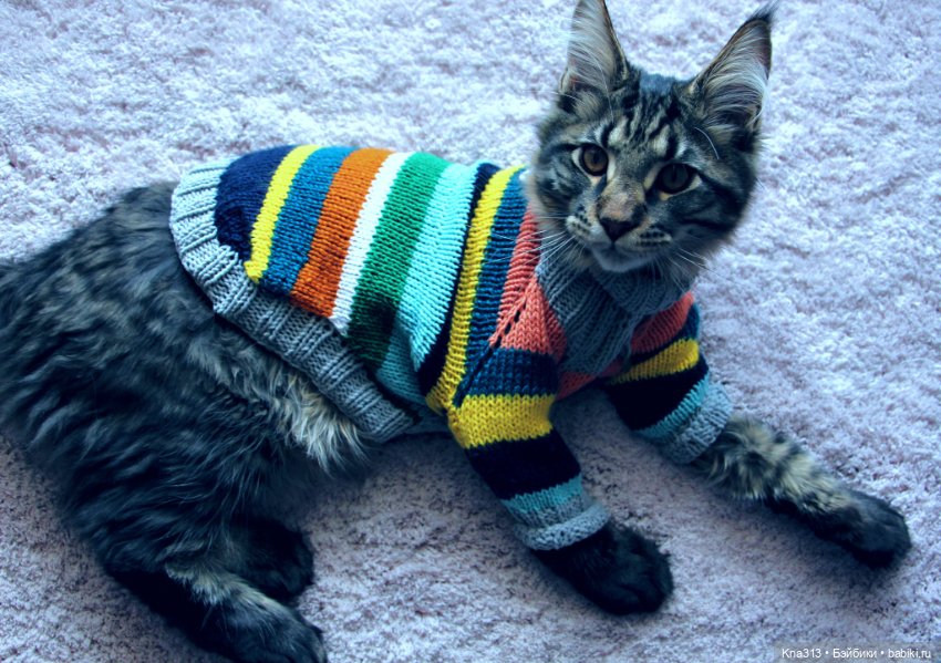 Одеть друга — Другие хобби и увлечения: сад