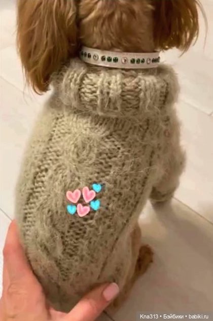 Одеть друга — Другие хобби и увлечения: сад (фото 3)